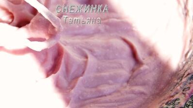 рулет из овсяных хлопьев с творожно-малиновой начинкой и кремом