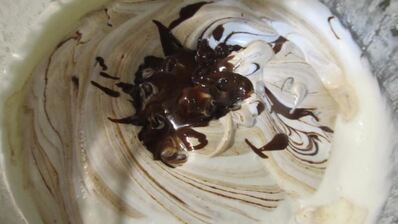 домашнее мороженое с шоколадом