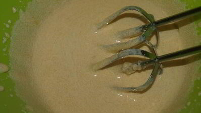 мороженое кофейно-лимонное