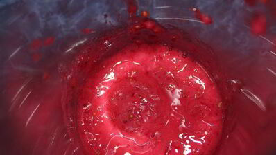 торт-мороженое смородинка