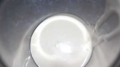 торт-мороженое смородинка