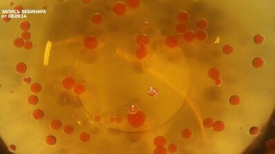 мусс из куриной печенки с икрой из морса