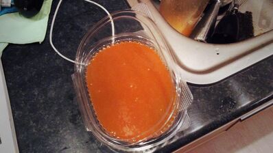 суфле из тыквы, медовый крамбл, облепиховые сорбет и ганаш