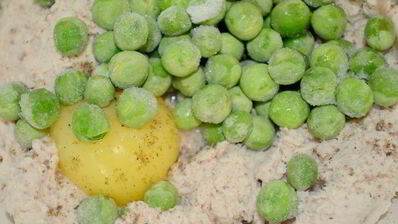 террин-суфле три вкуса