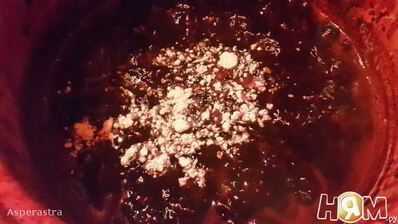 ягодная панна-котта