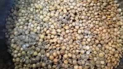 чечевица с лисичками и жареным адыгейским сыром