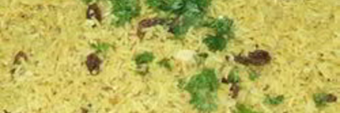 Восточный рис с кокосовым молоком, изюмом и орехами кешью