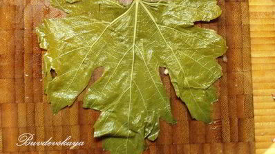 ароматная долма с мацони