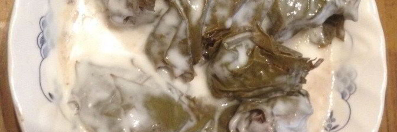 Долма с соусом на основе кефира