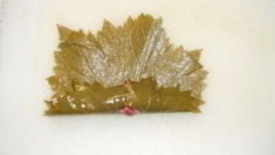 долма в мультиварке панасоник