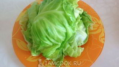 голубцы из молодой капусты