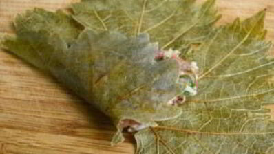 голубцы по-грузински