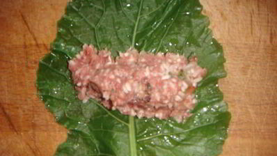 голубцы в лахане с двумя соусами