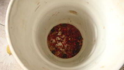 голубцы в лахане с двумя соусами