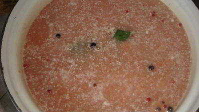 голубцы в лахане с двумя соусами