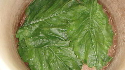 голубцы в лахане с двумя соусами