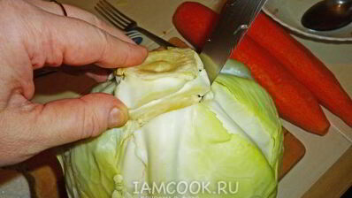 квашеные голубцы с морковью