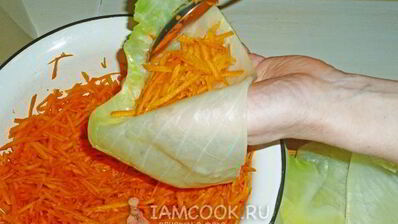 квашеные голубцы с морковью