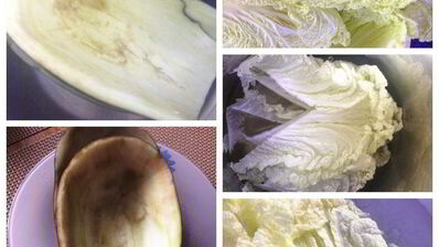 постные овощные голубцы