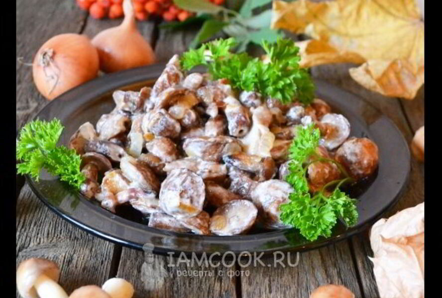 Маслята жареные в сметане