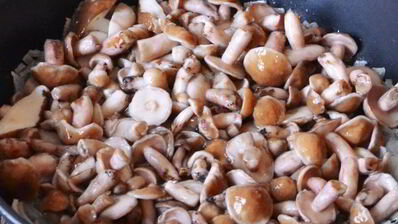 маслята жареные в сметане