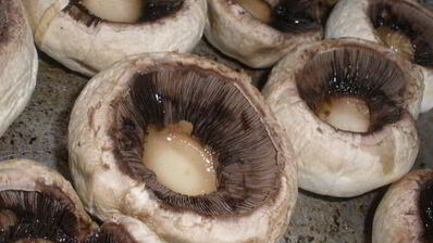 шампиньоны фаршированные курицей