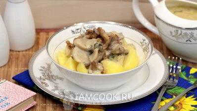 тушеные грибы в мультиварке