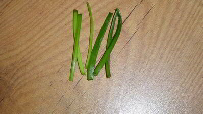 картофельное пюре паучки