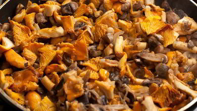 лазанья с грибами