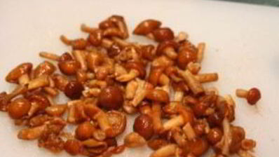 каннеллони с грибами