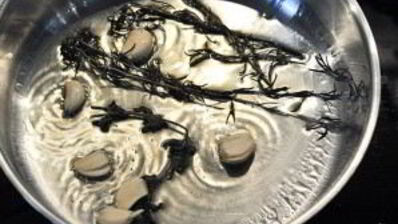 каре баранины