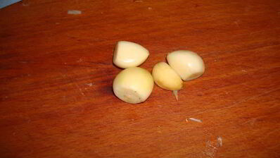 курица в винном соусе с шампиньонами