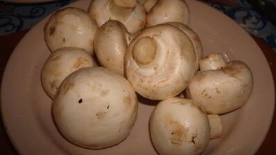 курица в винном соусе с шампиньонами