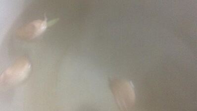 мясо в термосе