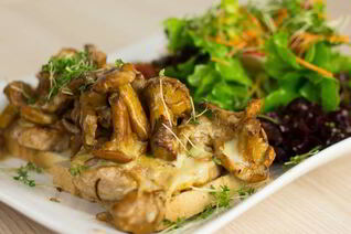 Телятина с грибами и пармезаном