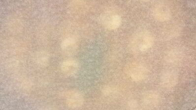 джамбалайя