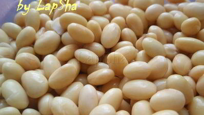 мясное рагу с соевыми бобами и орегано