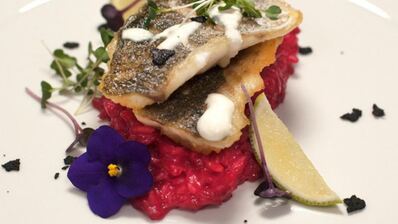 сибас на свекольном ризотто со сливочно-сырным соусом