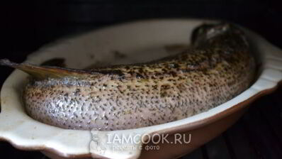 фаршированная щука с салом в духовке