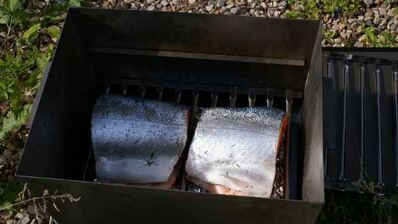 форель горячего копчения