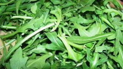 роскошная семга в еловой руколе я тебя люблю