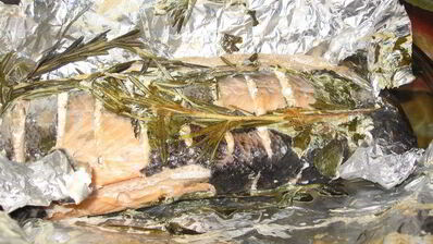 роскошная семга в еловой руколе я тебя люблю