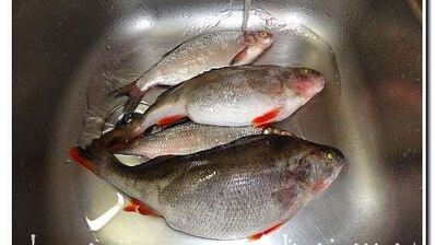 рыба на гриле