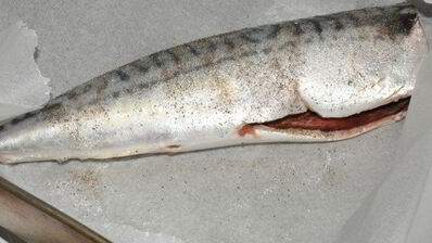 скумбрия запеченная в духовке