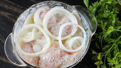 шашлык из курицы в майонезе