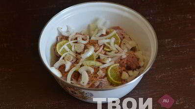 шашлык из курицы