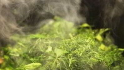 жаркое из конины