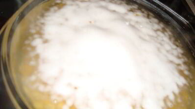 гороховая каша с мускатным орехом и соевым соусом