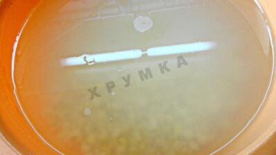 гороховая каша в мультиварке классическая