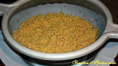 пшенная каша